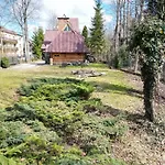 Mountain Spirit Dream Studio